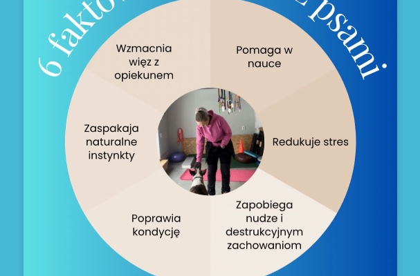 Gry i zabawy z psem. krok po kroku do zbudowania lepszej wiezi z psem.